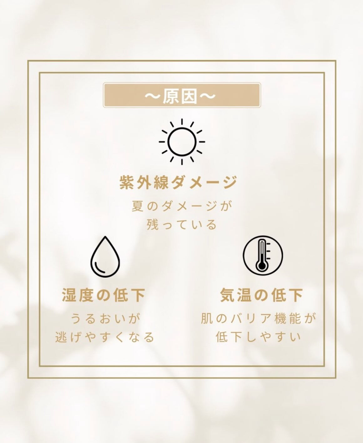 🫨秋に増える？肌の乾燥サイン🫨