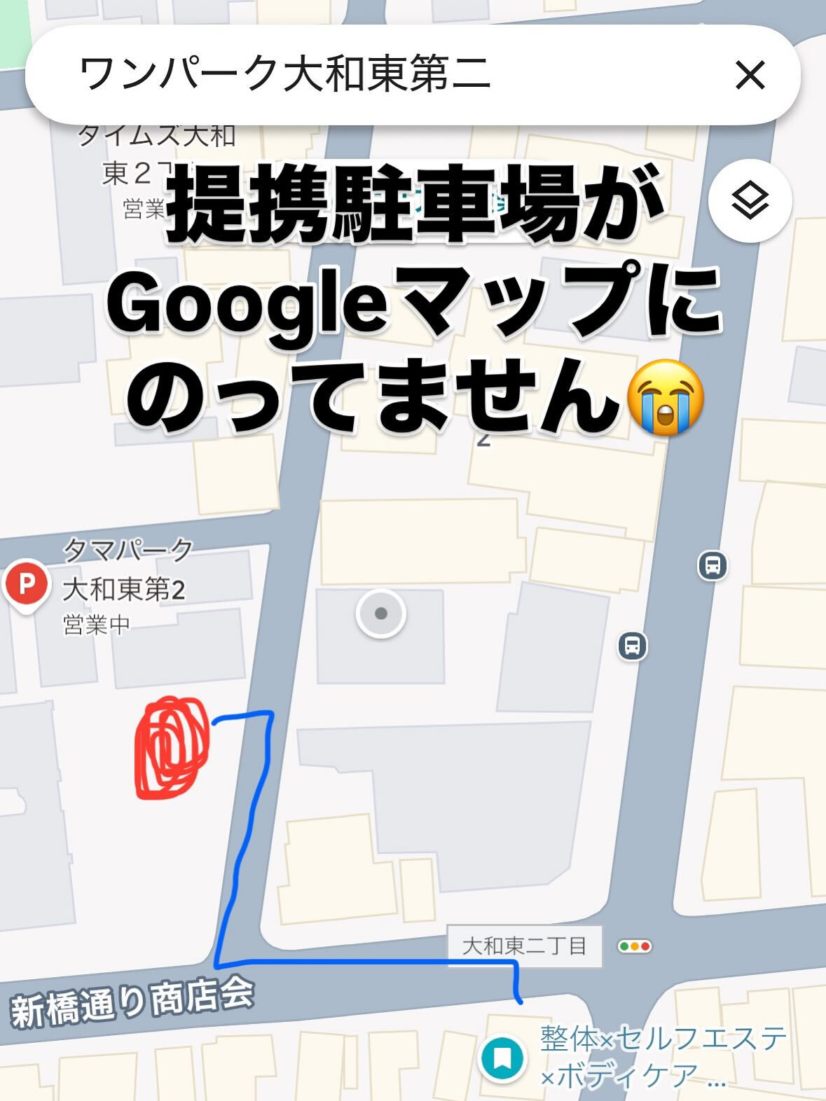 こんにちは♪CYANシアンです！