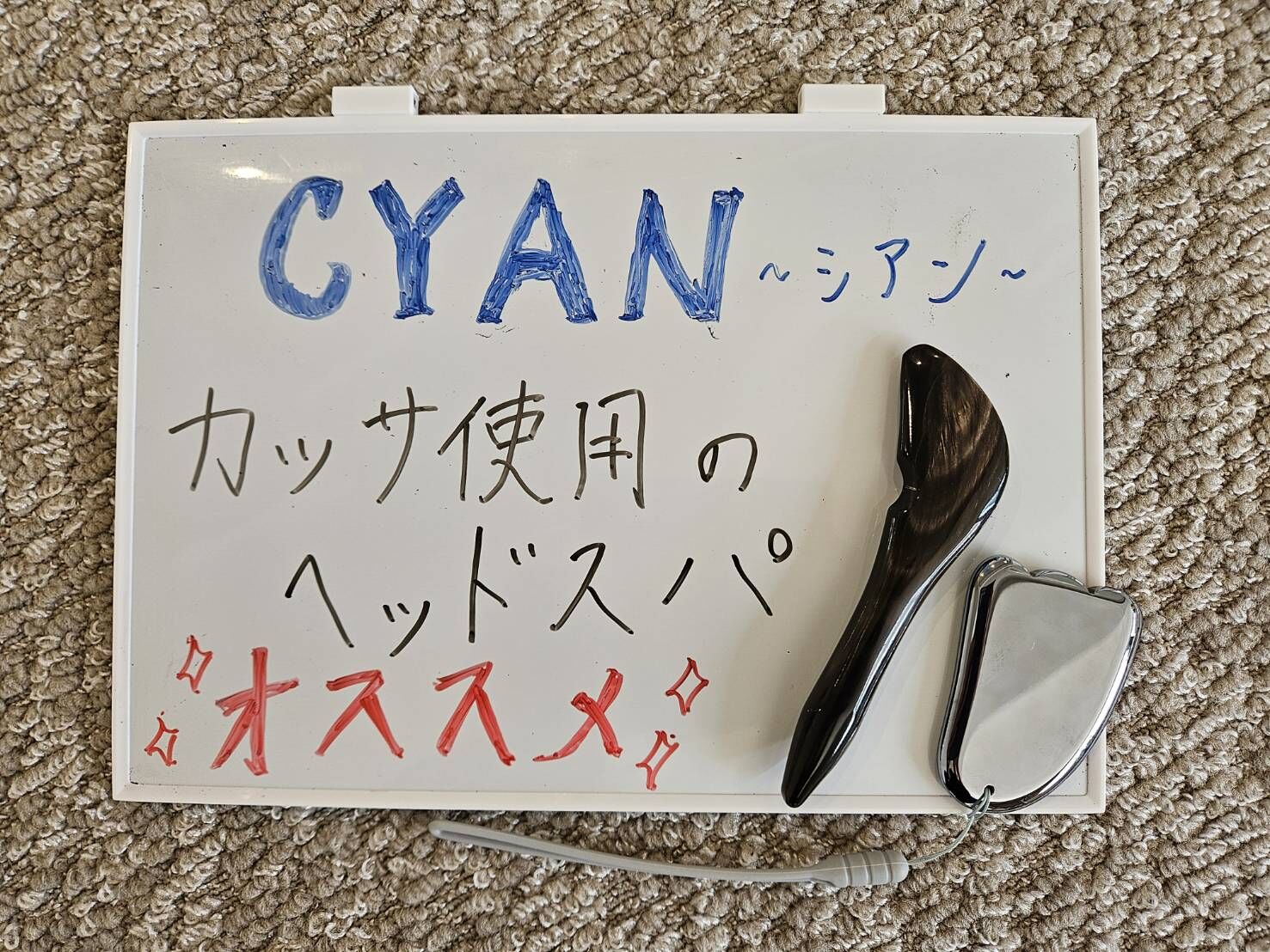 試して！カッサ