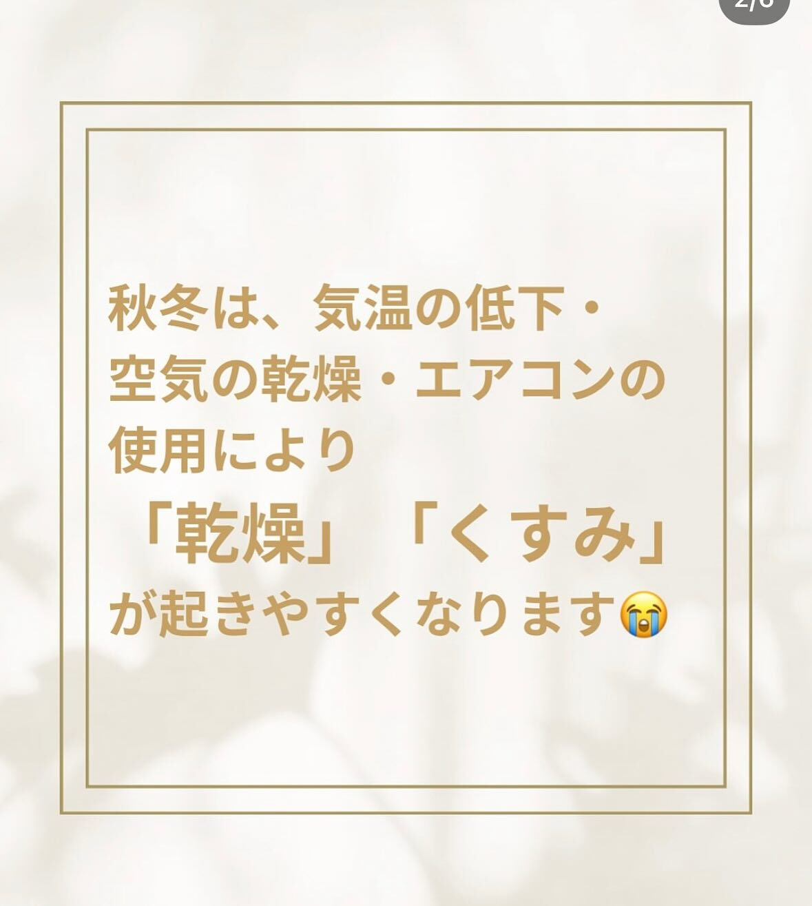 秋冬から始める美肌づくり✨