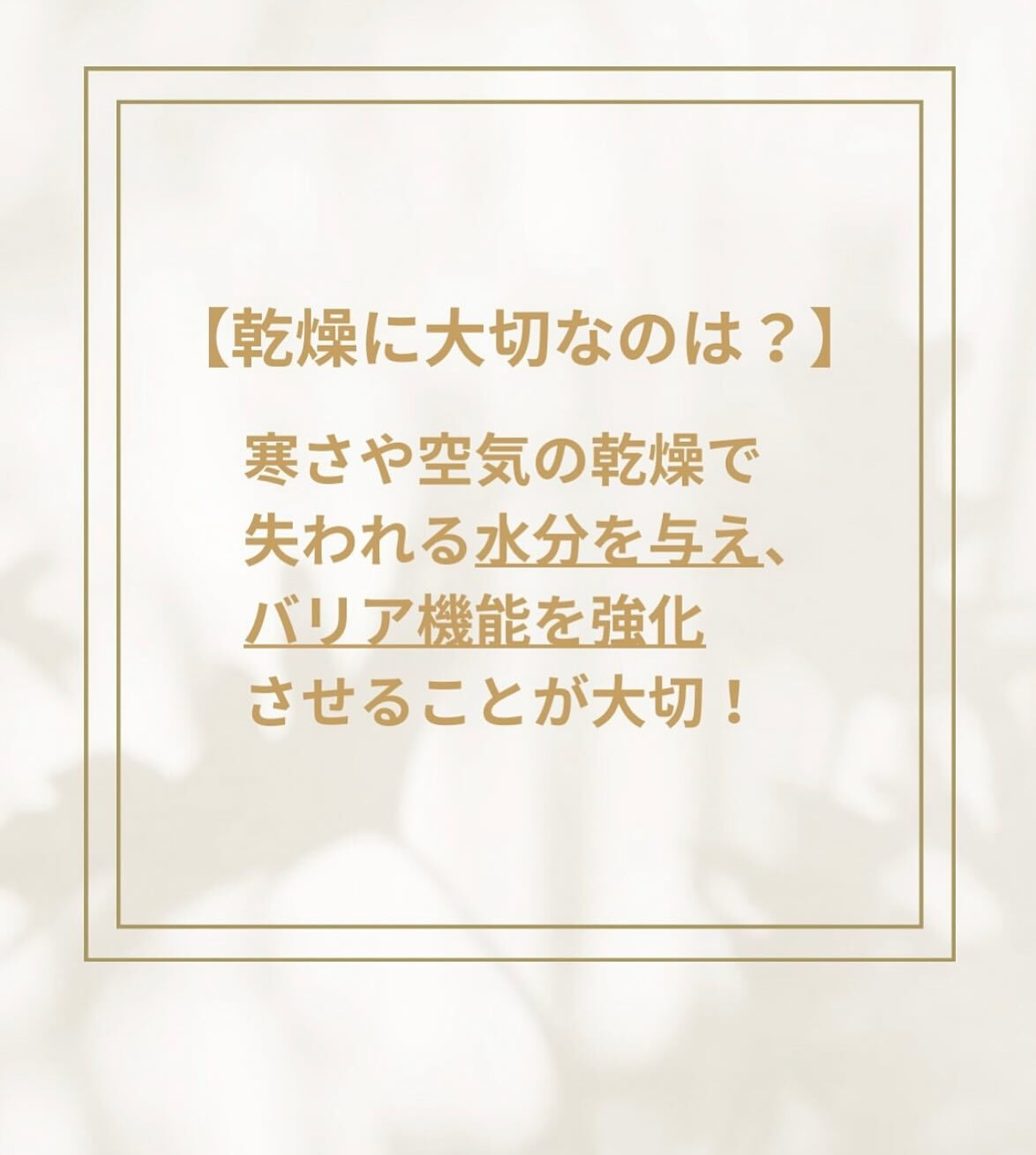秋冬から始める美肌づくり✨