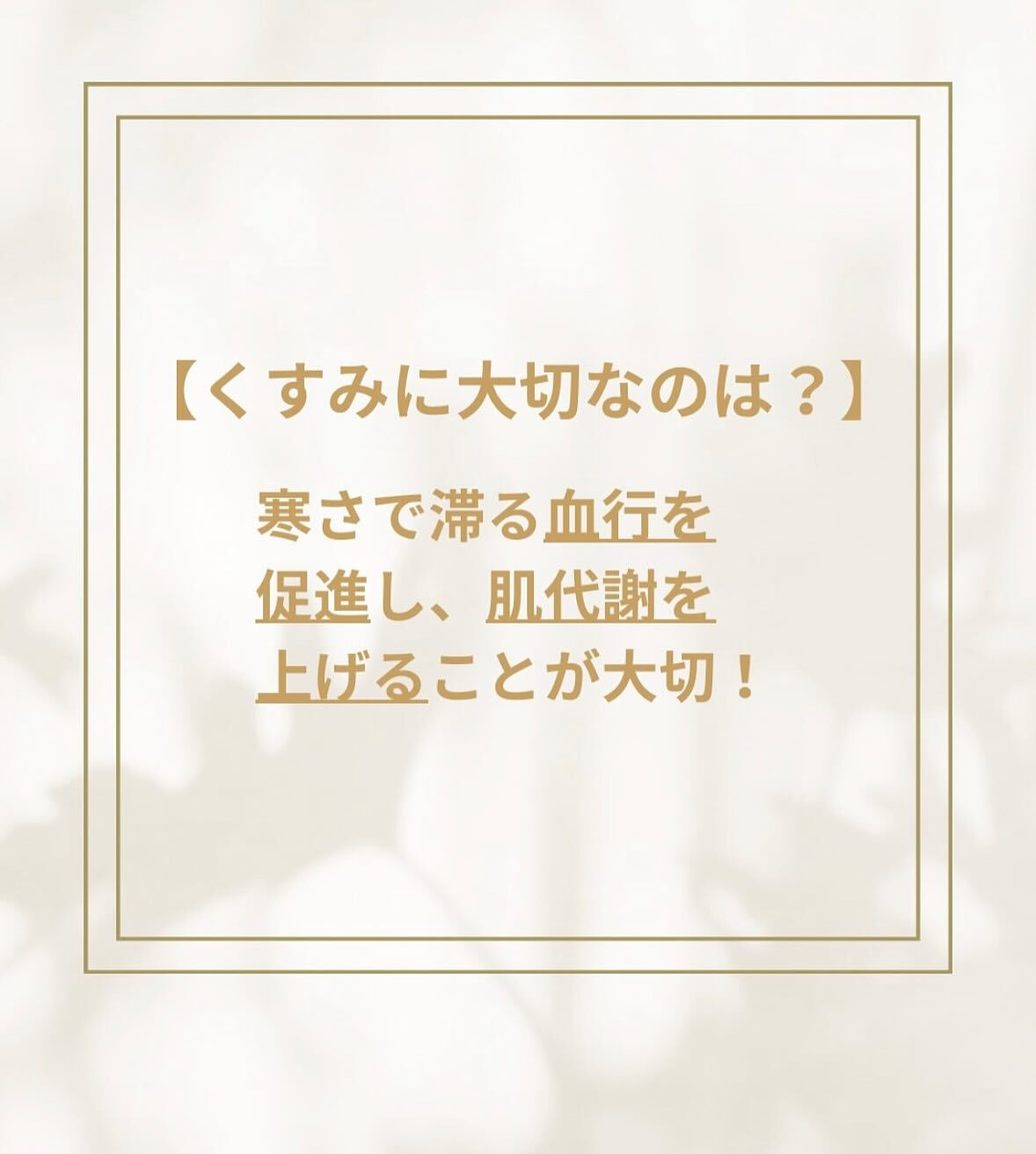 秋冬から始める美肌づくり✨