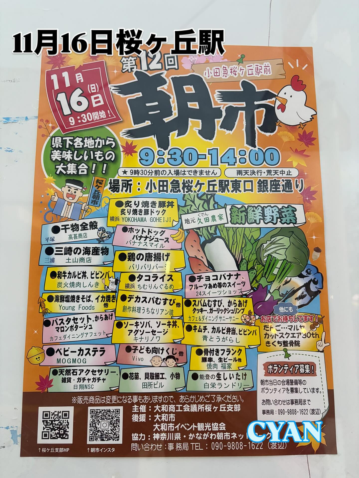 11/16桜ヶ丘にて